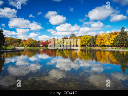 L'automne arbres se reflétant dans le lac Beaver, Mont Royal, Montréal, Québec, Canada Banque D'Images