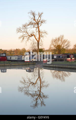 Arbre et bateaux canal reflétant dans l'eau au port de plaisance de Cropredy, Oxfordshire, Angleterre Banque D'Images