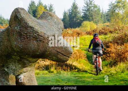 Vélo de montagne femelle et le renard roux la sculpture, l'une des nombreuses œuvres d'art autour de Grizedale Forest dans le Lake District Banque D'Images