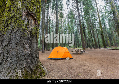 Orange tente dans Crane Télévision campground Banque D'Images