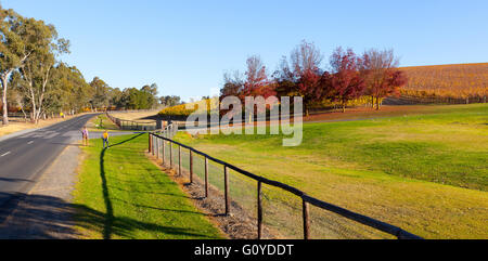 Vignes et Shaw Smith Winery vineyard paysage rural campagne automne ensoleillé Adelaide Hills Mt Lofty Australie du Sud Banque D'Images