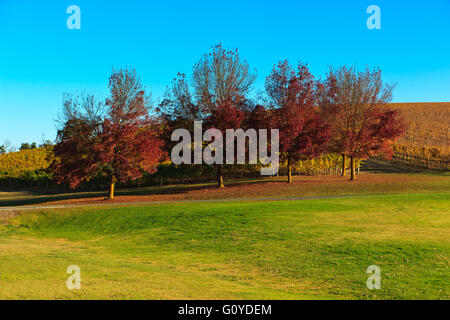 Adelaide Hills automne Mt Lofty Australie Australie du Sud Banque D'Images