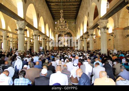 Jérusalem, Jérusalem, territoire palestinien. 6 mai, 2016. Fidèles musulmans palestiniens assistent à la prière du vendredi à l'intérieur de la mosquée al-Aqsa, troisième lieu saint de l'Islam, dans la vieille ville de Jérusalem le Mai 06, 2016 Credit : Mahfouz Abu Turk/APA/Images/fil ZUMA Alamy Live News Banque D'Images