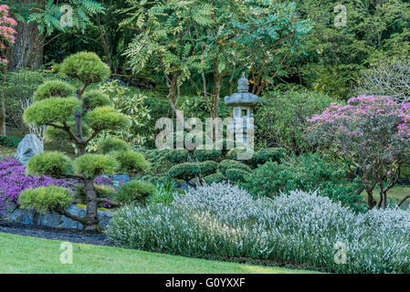 Jardin Japonais, les Jardins Butchart, Brentwood Bay, près de Victoria, Colombie-Britannique, Canada Banque D'Images