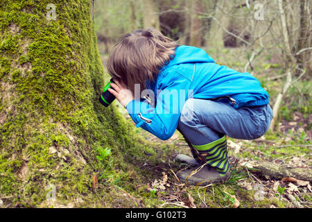 Petit garçon explorer la forêt Banque D'Images