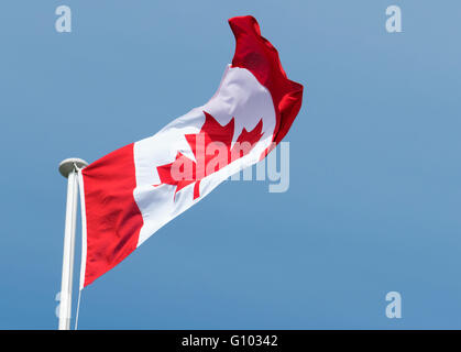 Drapeau du Canada Feuille d'érable au vent, grand ciel bleu. Banque D'Images