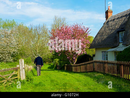 Man Walking down sentier public dans le village de Finchingfield, Essex, Angleterre, Royaume-Uni Banque D'Images