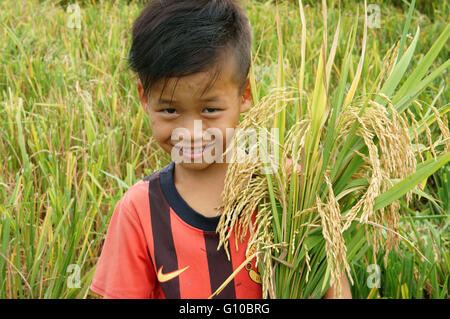 SOC TRANG, VIET NAM, en Asie les enfants jouant sur les champs de riz paddy, Vietnamien kid tenir en main, visage souriant, Delta du Mekong, Vietnam Banque D'Images