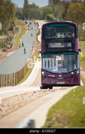 Sur les nouveaux bus mauve busway guidé conducteur et les passagers visible Banque D'Images