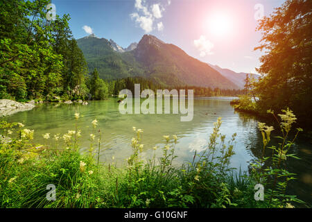 Une journée ensoleillée sur le lac Hintersee dans les Alpes autrichiennes, l'Europe. Banque D'Images