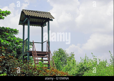 Watch Tower en forêt pour observer les oiseaux et les animaux Banque D'Images