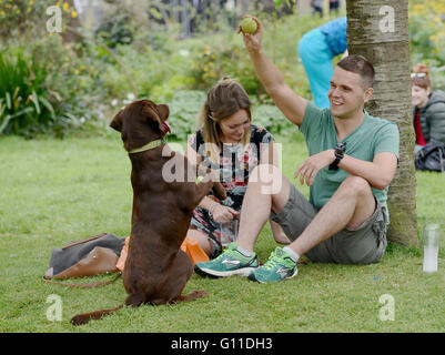 Brighton UK 7 mai 2016 - Un couple profiter du beau temps avec leur chien dans la région de Pavilion Gardens Brighton cet après-midi Crédit : Simon Dack/Alamy Live News Banque D'Images