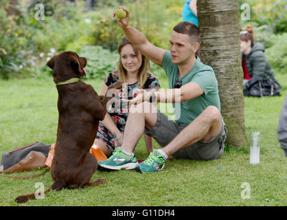 Brighton UK 7 mai 2016 - Un couple profiter du beau temps avec leur chien dans la région de Pavilion Gardens Brighton cet après-midi Crédit : Simon Dack/Alamy Live News Banque D'Images