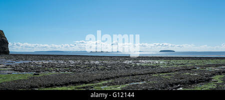 Panorama d'une plage couverte d'algues avec des îles de la baie. Banque D'Images