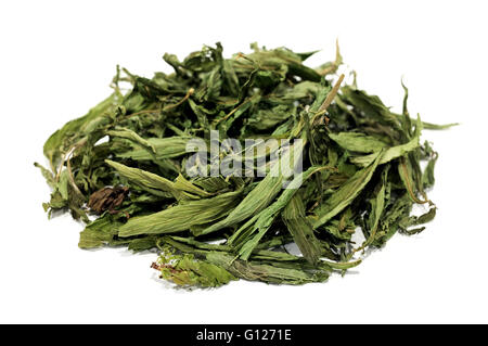 Les feuilles de stevia séchées sur un fond blanc Banque D'Images