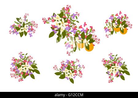 Arabis Floral et orange fleurs retro vintage, vector illustration Illustration de Vecteur