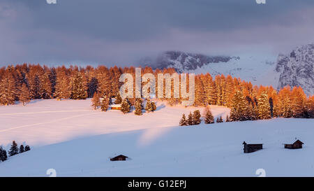 Soleil au coucher du soleil sur le plateau de montagne de l'Alpe di Siusi, saison d'hiver. Chalets et forêt de conifères, neige. Les Dolomites De Gardena. Alpes Italiennes. Banque D'Images