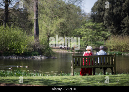 Couple avec vue sur étang à Kew Garden Banque D'Images