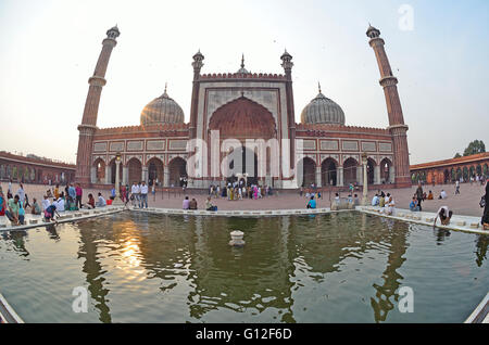 Jama Masjid, mosquée, New Delhi, Inde Banque D'Images