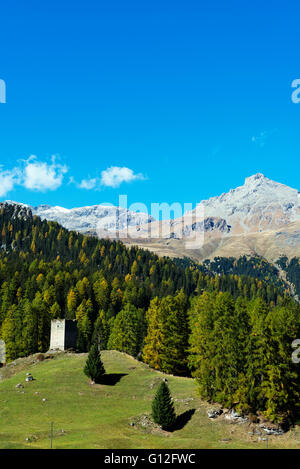 L'Europe, Suisse, Grisons, Engadine, Julia Col, tour de guet entre forêt d'automne Banque D'Images