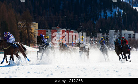 L'Europe, Suisse, Grisons, Engadine, St Moritz en hiver, White Turf Course de Chevaux International Banque D'Images