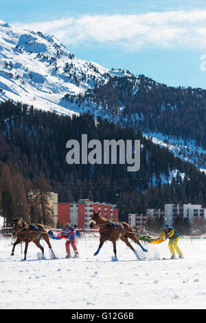 L'Europe, Suisse, Grisons, Engadine, St Moritz en hiver, White Turf International Horse Race, le skijoring event Banque D'Images