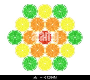 Mise à fruit : Citron, citron vert, orange, pamplemousse. Vector EPS10 Illustration de Vecteur