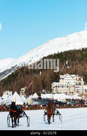 L'Europe, Suisse, Grisons, Engadine, St Moritz en hiver, White Turf International Horse Race, événement trap Banque D'Images