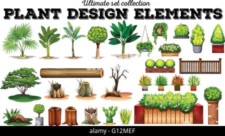 De nombreux types de plantes illustration Illustration de Vecteur