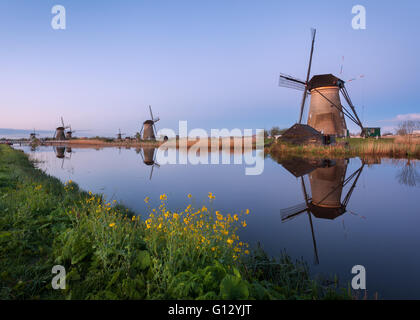 Paysage de printemps avec de beaux moulins à vent hollandais traditionnel près de l'eau canaux avec reflet dans l'eau à l'aube Banque D'Images