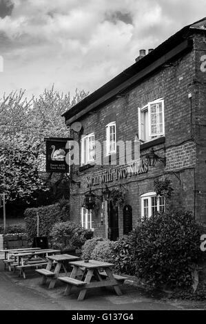 Swan avec deux entailles pub Dunham Massey Banque D'Images