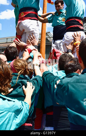 Castellers, en dehors de la naissance, est la tour construite traditionnellement en festivals. Barcelone, Catalogne, Espagne, Europe Banque D'Images