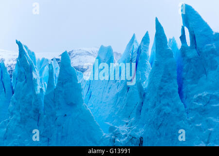 Aiguilles de glace Banque D'Images