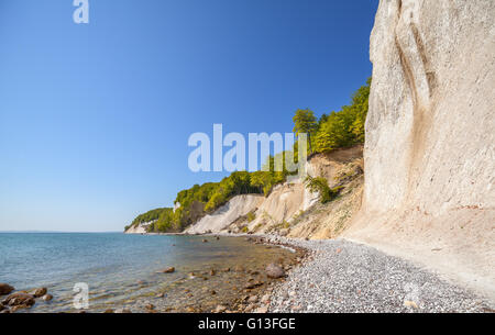 Plage et falaises de craie sur l'île de Rugen, Parc National de Jasmund, Mecklenburg Vorpommern région d'Allemagne. Banque D'Images