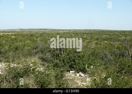 Le sol du désert du plateau d'Edwards dans le lac Amistad Recreation Area près de Del Rio, Texas. Banque D'Images