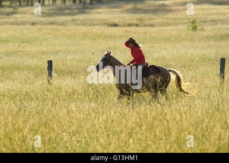 Une jeune fille préadolescente holding sur hat et équitation fast sur son cheval près de Eidsvold, Queensland, Australie au cours d'un transport de bétail. Banque D'Images