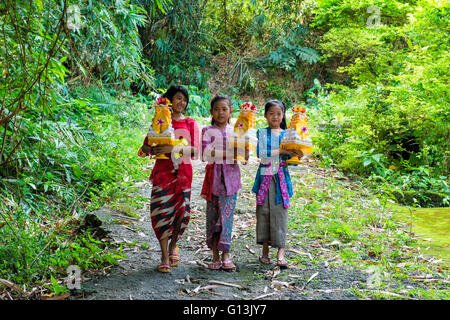 Trois filles au temple avec des offres pour une cérémonie sur la tête, Bali, Indonésie Banque D'Images