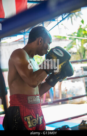 KO Pha Ngan, EN THAÏLANDE - 12 février, 2016 non identifié : boxer Thai combats dans le ring. Muay Thai est un sport de combat de Thaïlande Banque D'Images