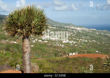 Vue vers le nord à partir de Mirador de San Bartolomé aux côtés de la côte est du nord de Santa Cruz, La Palma, Canary Islands, Spa Banque D'Images