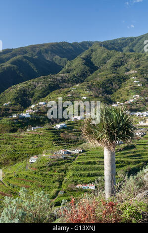 Cumbre crête de montagne de Mirador de San Bartolomé à la côte est au nord de Santa Cruz de La Palma, Îles Canaries, Espagne Banque D'Images