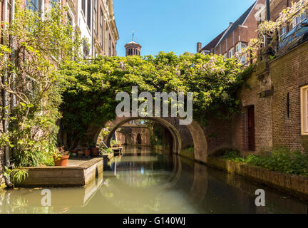 Canal étroit à Utrecht aux Pays-Bas. Kromme Nieuwegracht avec salle de ponts. Banque D'Images