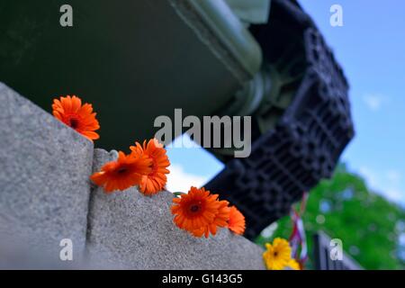 Berlin, Allemagne. 8 mai, 2016.à la 8e mai 1945, le Reich Nazi capitule après une guerre longue de 5 ans. 71 ans plus tard, les gens se souviennent de ce jour en établissant des fleurs au Monument commémoratif de guerre soviétique dans la région de Berlin-Tiergarten. Credit : Marcus Krauss/Alamy Live News Banque D'Images