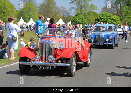 MG TD Midget (1954) et MG ZB Magnette Varitone (1958). Châtaignier dimanche 8 mai 2016. Bushy Park, Hampton court, London Borough of Richmond, Angleterre, Grande-Bretagne, Royaume-Uni, Royaume-Uni, Europe. Parade de véhicules vintage et classiques et expositions avec attractions foraines et reconstitutions militaires. Crédit : Ian Bottle / Alamy Live News Banque D'Images