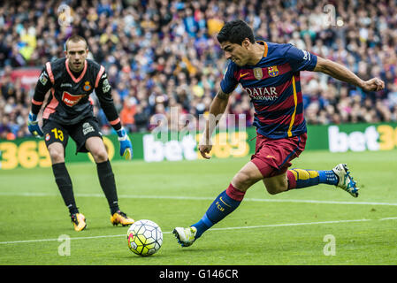 Barcelone, Catalogne, Espagne. 8 mai, 2016. Le FC Barcelone l'avant SUAREZ en action dans la ligue BBVA match entre le FC Barcelone et l'Espanyol au Camp Nou à Barcelone Crédit : Matthias Rickenbach/ZUMA/Alamy Fil Live News Banque D'Images