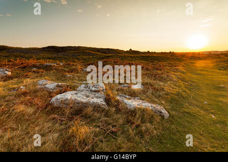 Lever du soleil sur la montagne Halkyn pauses dans le nord-est de la partie du nord du Pays de Galles un site d'intérêt scientifique pour son calcaire et la faune et la flore la distance Banque D'Images