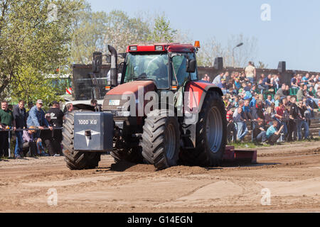 GRIMMEN/ ALLEMAGNE - 5 mai : allemand Case Puma CVX 150 tracteur roule sur la voie sur un motortechnic festival le 5 mai 2016 à grimmen Banque D'Images