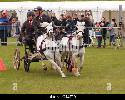 Un concurrent est en concurrence dans la course au championnat se précipitent et Rural station show à Southsea, Portsmouth. Banque D'Images