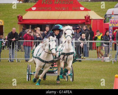 Un concurrent est en concurrence dans la course au championnat se précipitent et Rural station show à Southsea, Portsmouth. Banque D'Images