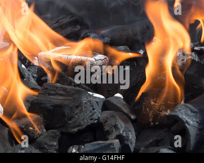 Le charbon de bois brûlant avec des flammes d'un barbecue Banque D'Images