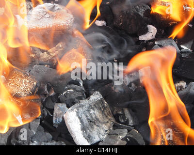 Le charbon de bois brûlant avec des flammes d'un barbecue Banque D'Images